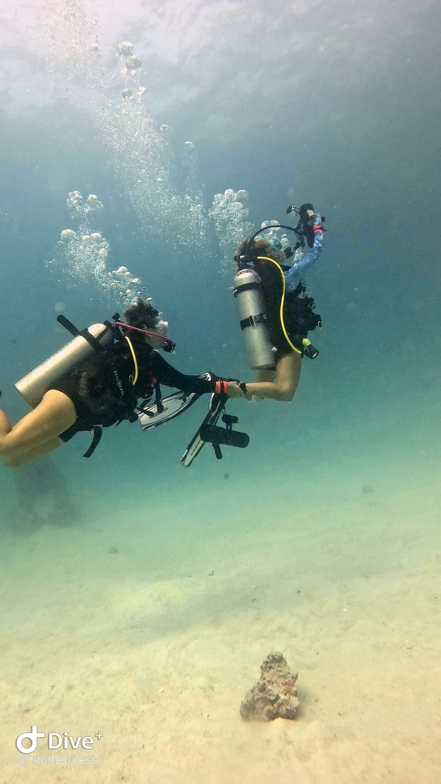 Two scuba divers holding DPVs (underwater scooters) while practicing control and positioning skills during a Diver Propulsion Vehicle Specialty training dive in Koh Tao, Thailand.