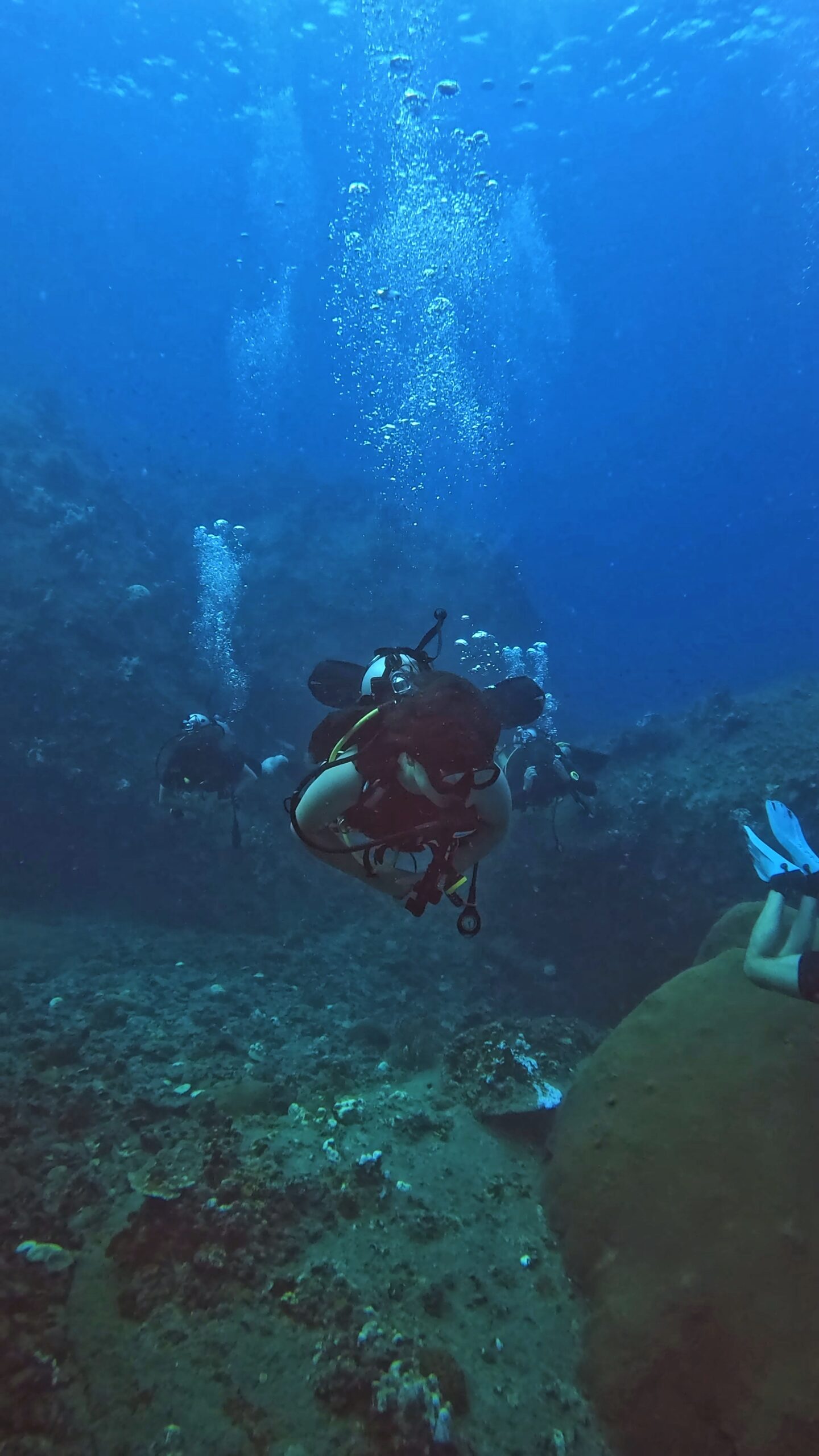 Group of scuba divers exploring an underwater canyon in Koh Tao, Thailand, with bubbles rising and coral in view