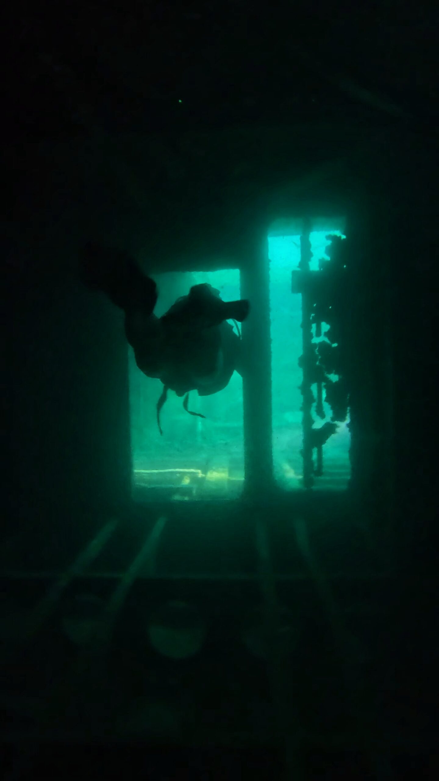 Diver performing wreck penetration inside the newly sunk HTMS Sattakut wreck at Koh Tao, near No Name Pinnacle. Artificial reef sunk in 2023, ideal for Wreck Specialty and Advanced diving courses.