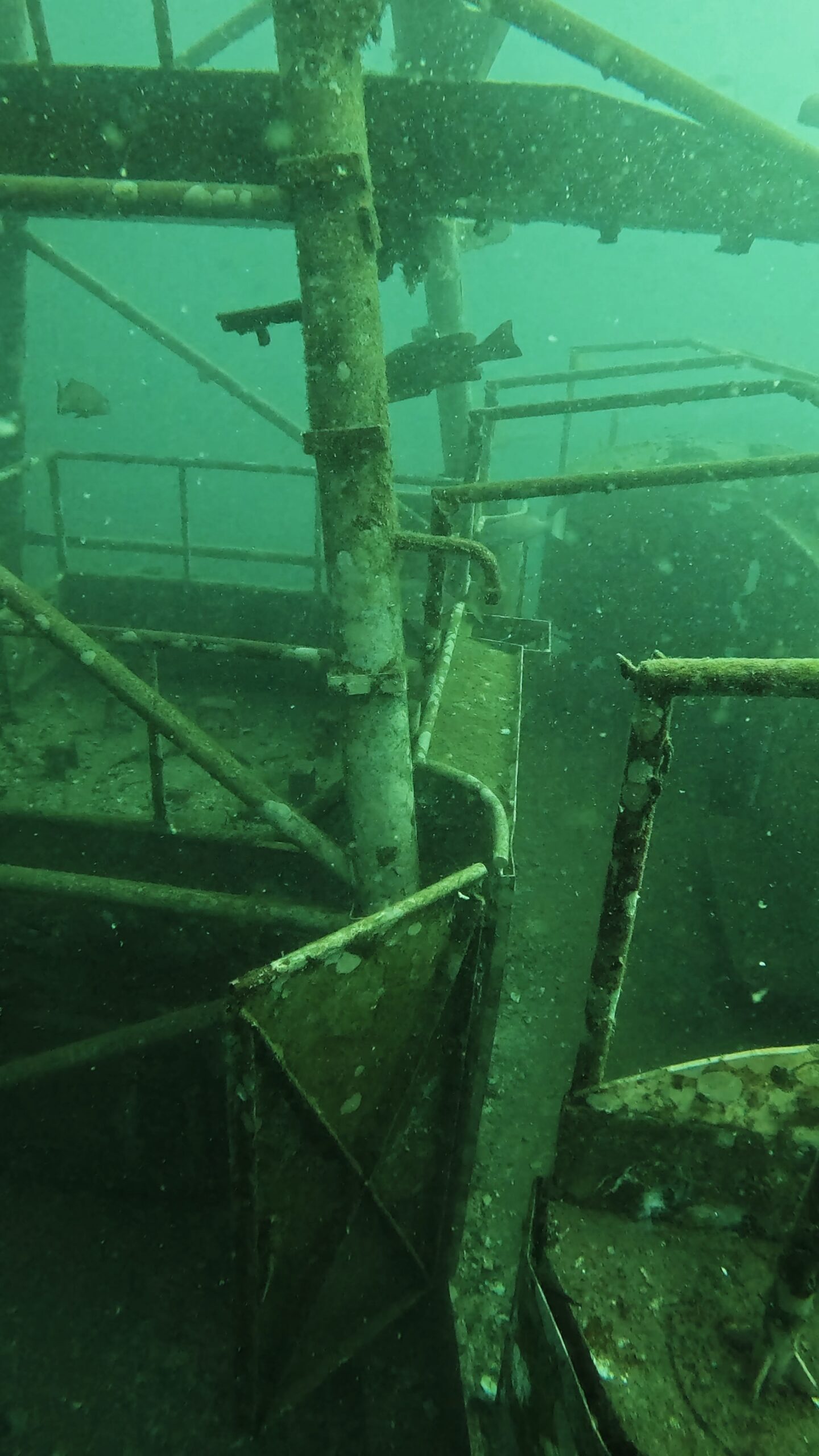 Divers exploring the HTMS Sattakut shipwreck near No Name Pinnacle, Koh Tao, Thailand — a popular artificial reef and advanced wreck diving site.
