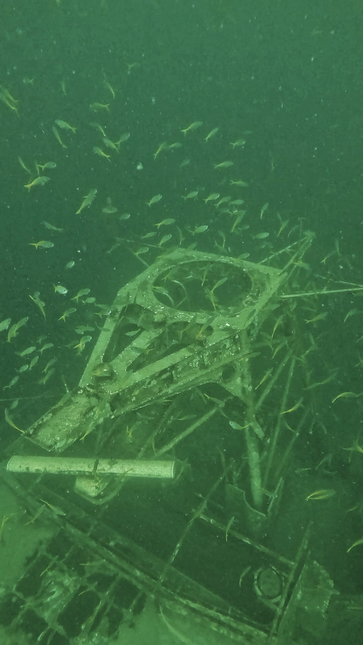HTMS Sattakut rear gun, Koh Tao Thailand, wreck diving site with fish and marine life, perfect for advanced and wreck-certified divers.