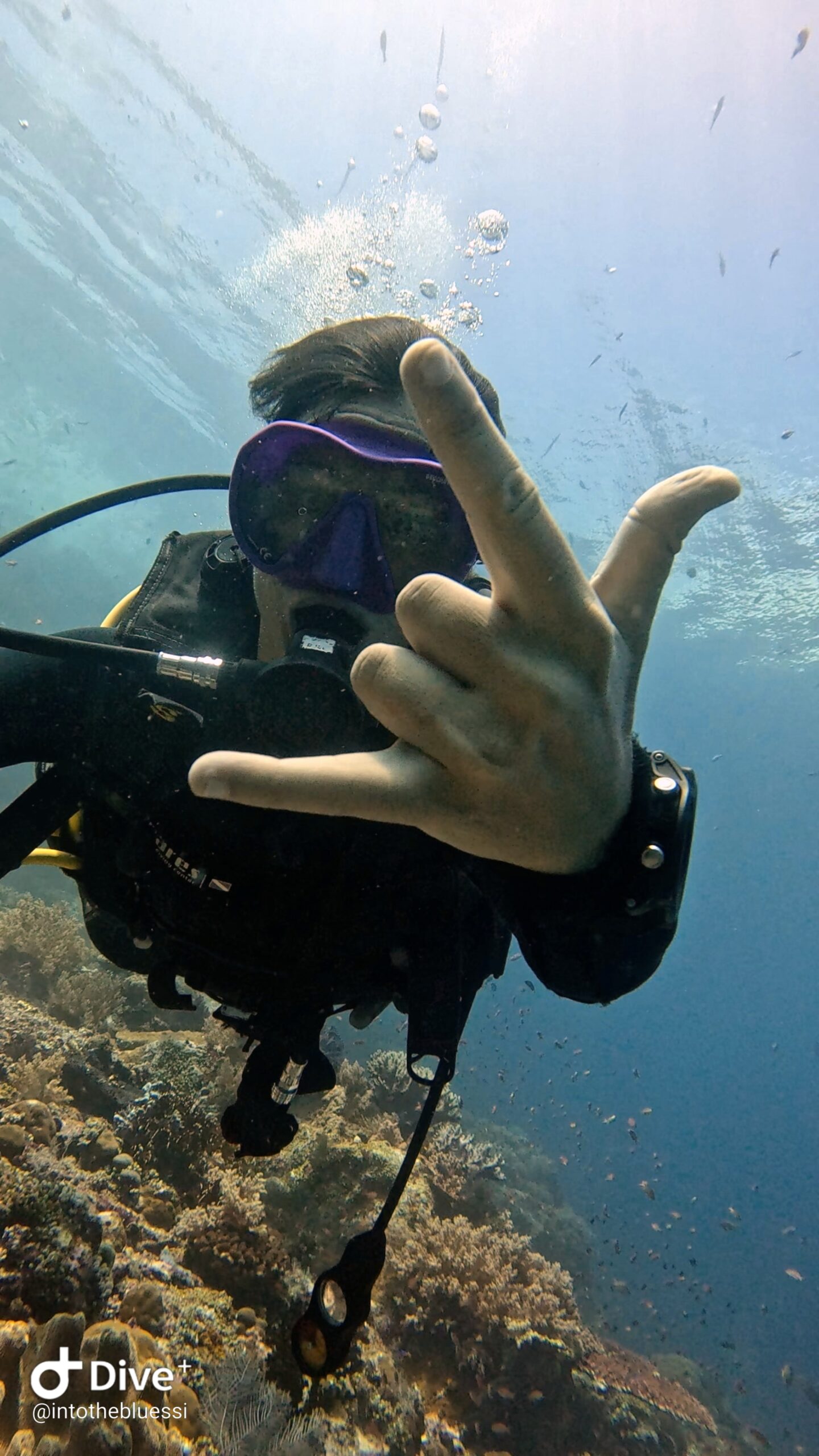 Scuba diver underwater throwing a fun hand sign near a coral reef during a fun dive in Koh Tao.