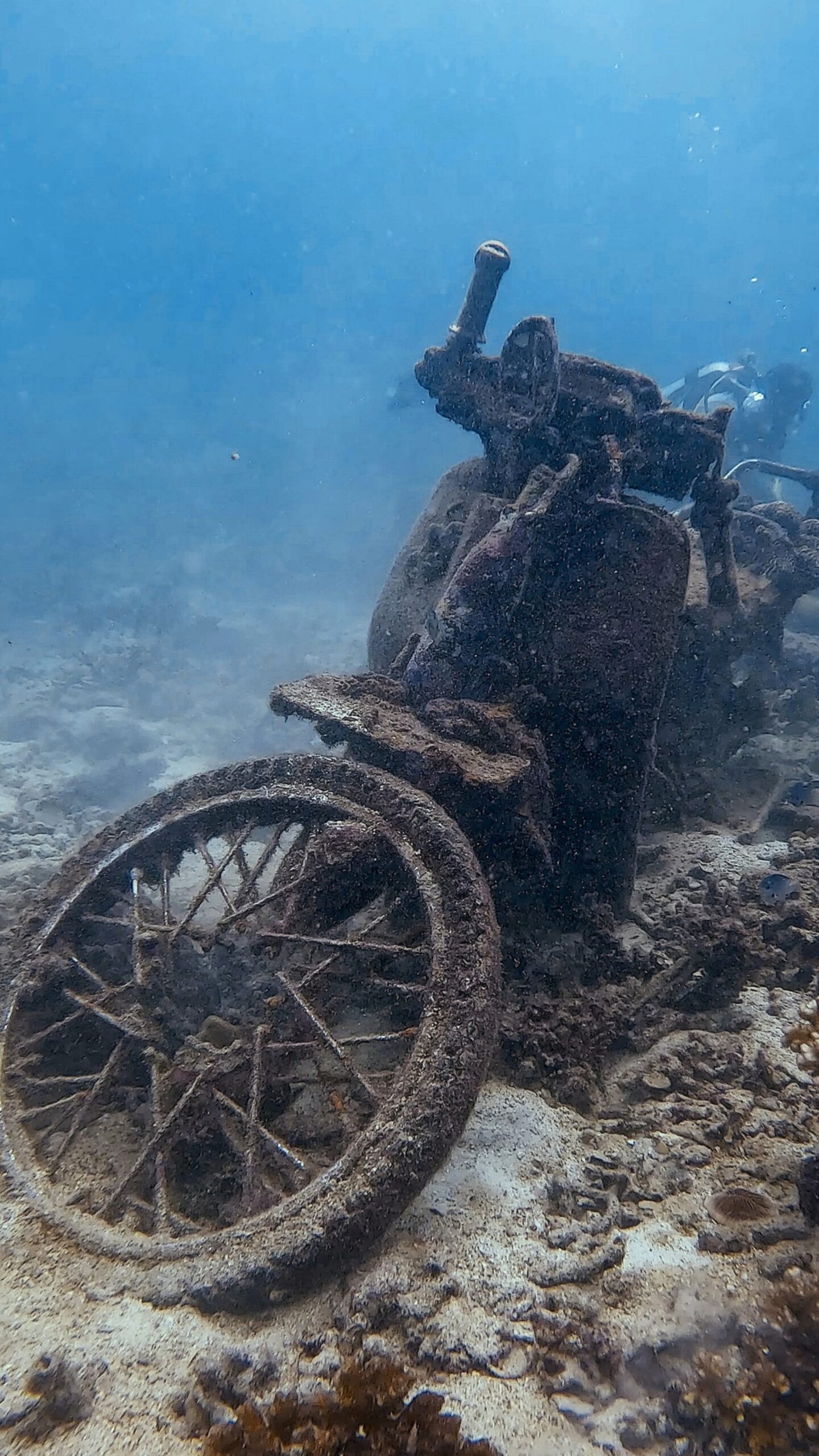 Old scooter submerged underwater at Tanote Bay, Koh Tao – Dive In Koh Tao