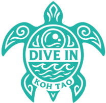 Dive In Koh Tao logo – premium dive center in Laem Thien focused on conservation and high-quality training