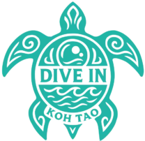Dive In Koh Tao logo – premium dive center in Laem Thien focused on conservation and high-quality training