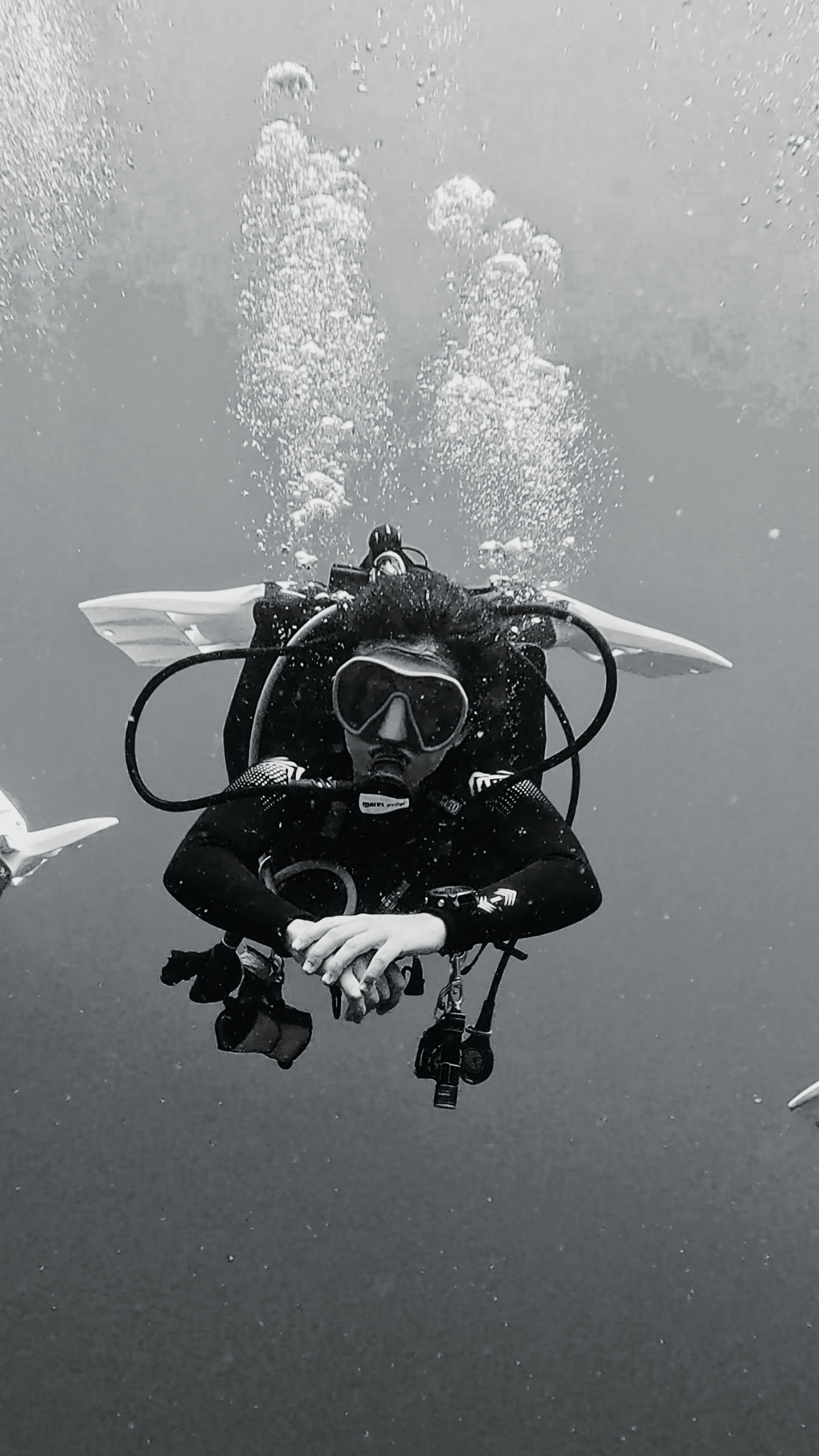 Iris Palmeirim de Alfarra, scuba diver and founder of Dive In Koh Tao, hovering underwater in full control during a deep dive – calm, focused diving professional.