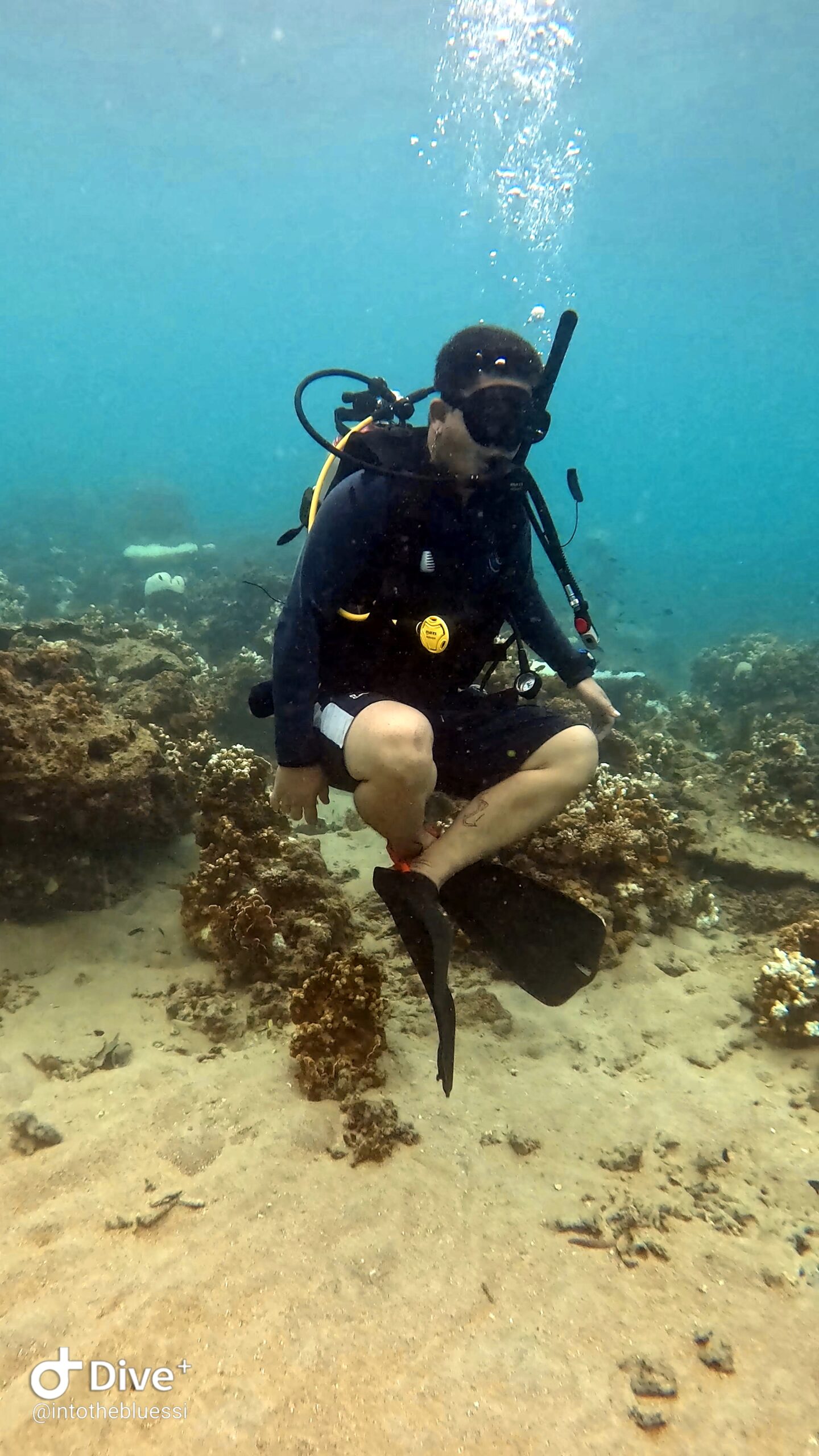 Scuba diver practicing neutral buoyancy while hovering over a coral reef during a training dive in Koh Tao.