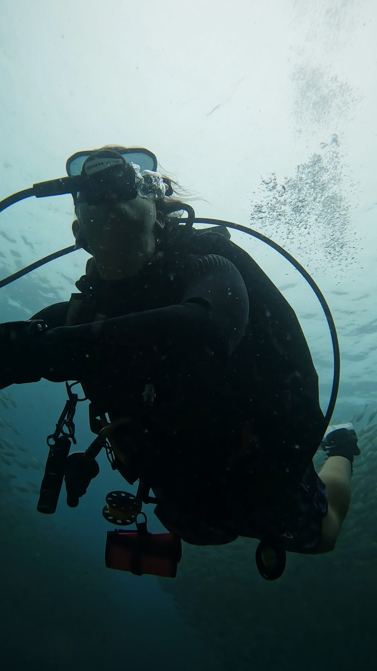 Scuba diver exploring underwater at Tanote Bay, Koh Tao with Dive In Koh Tao