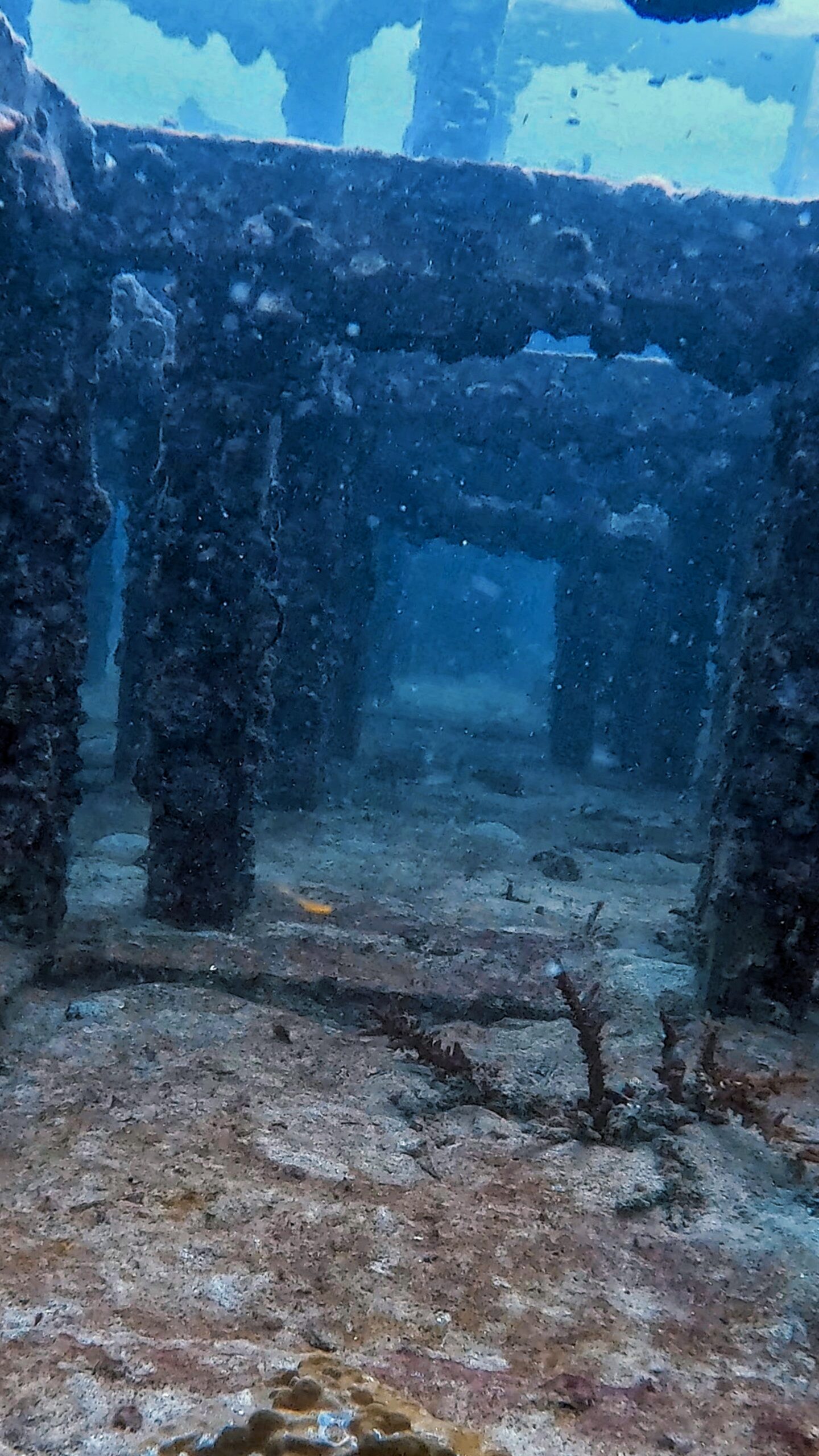Underwater artificial reef cubes at Tanote Bay, Koh Tao – Dive In Koh Tao