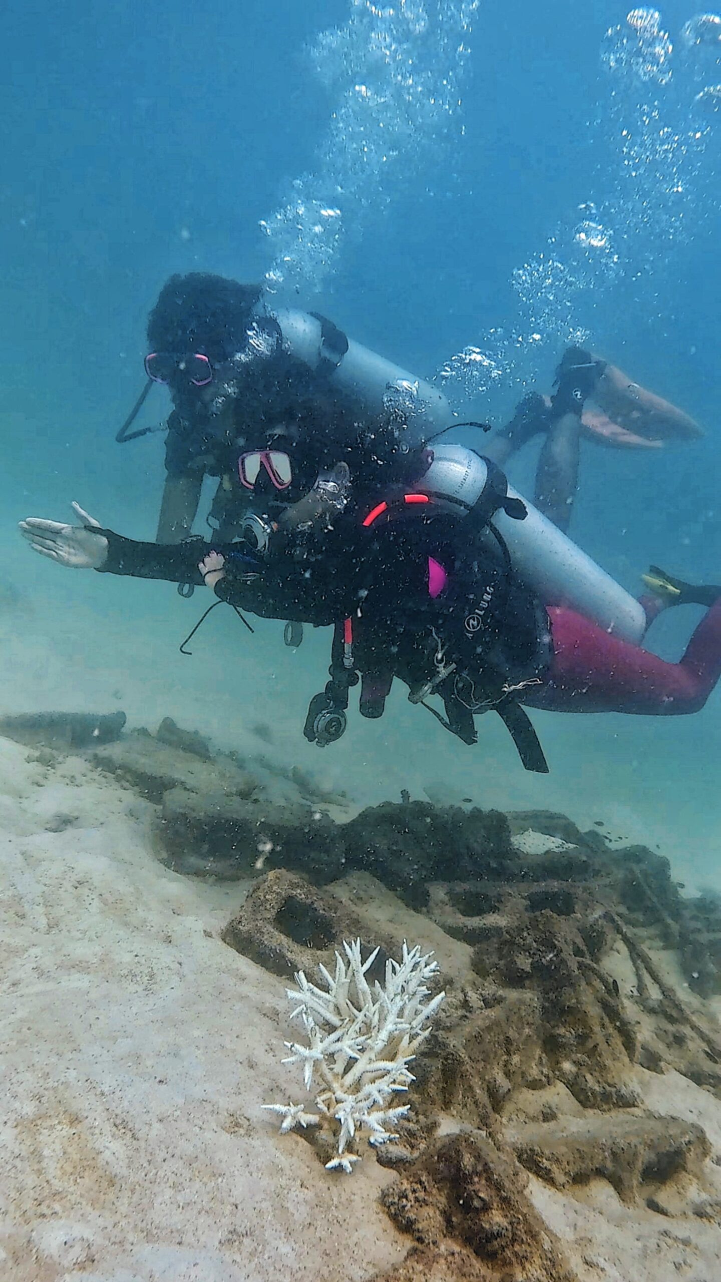 Diver practicing underwater navigation with instructor at Aow Leuk, Koh Tao – Dive In Koh Tao