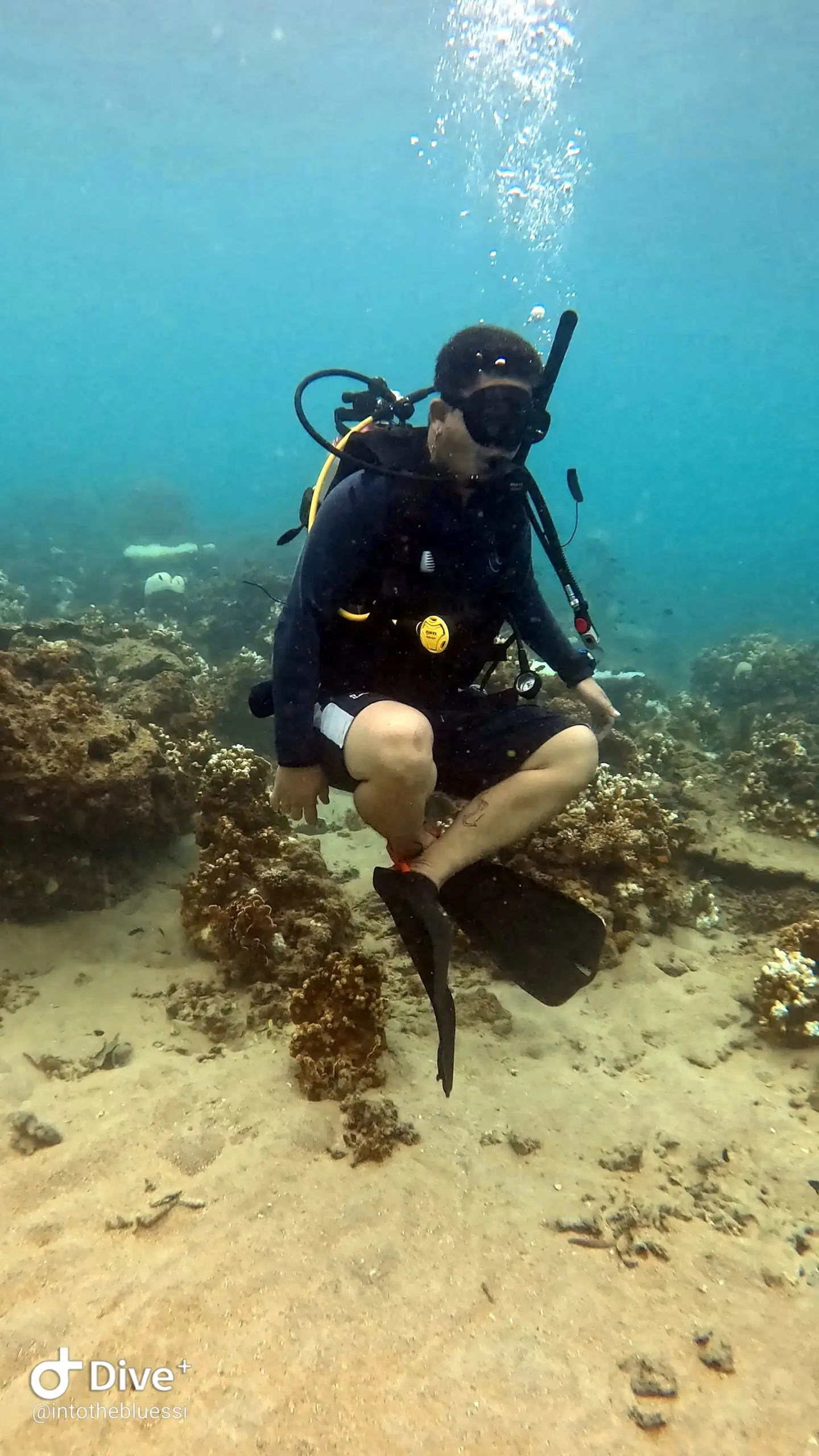Scuba diver practicing neutral buoyancy while hovering over a coral reef during a training dive in Koh Tao.