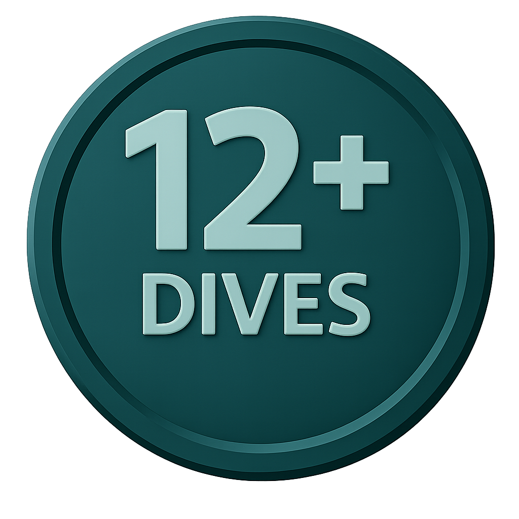 12+ dives badge icon in teal color representing certified diving experience level