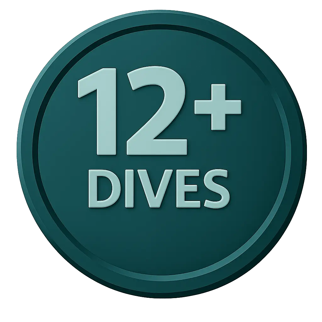 12+ dives badge icon in teal color representing certified diving experience level