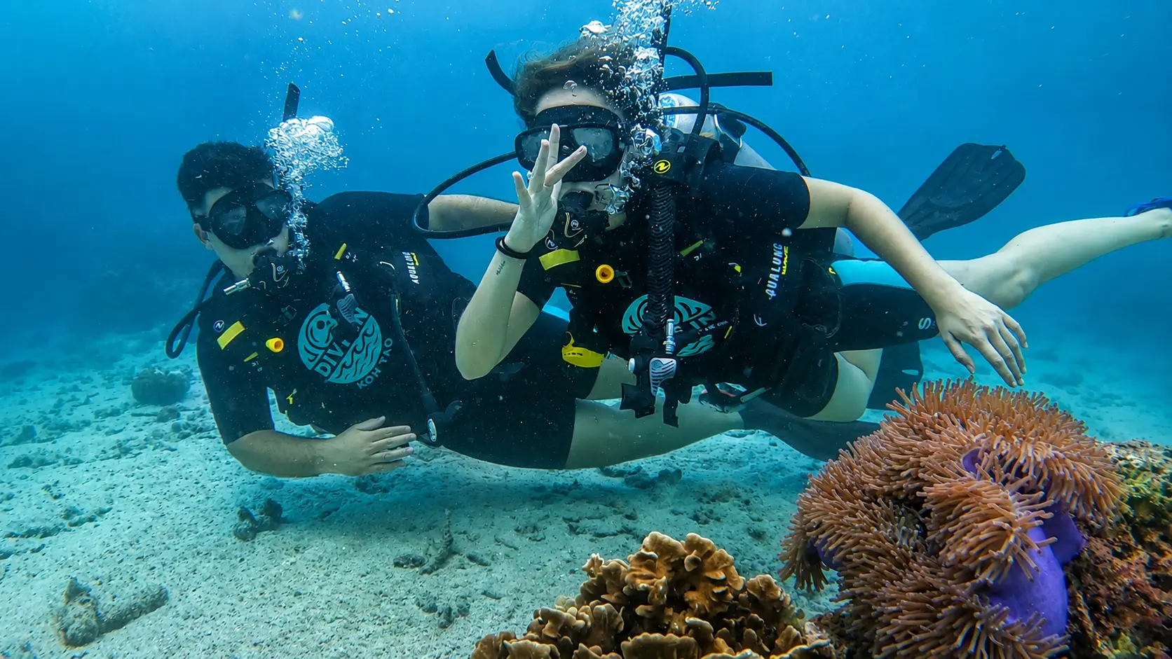 Two scuba divers observing a clownfish in a sea anemone during a fun dive in Koh Tao, Thailand